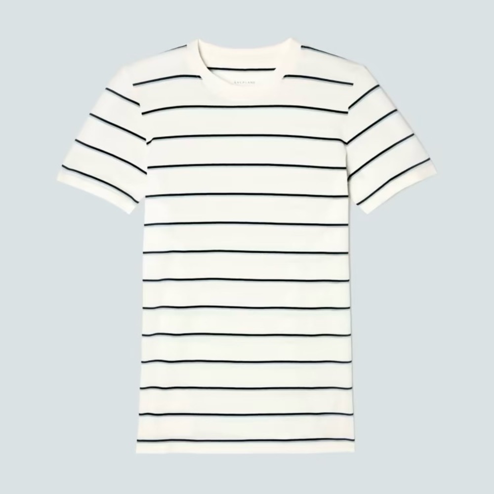 NWT Everlane Organic Cotton Crew Tee